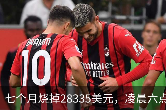 七个月烧掉28335美元，凌晨六点前的工具调用只有0.7%