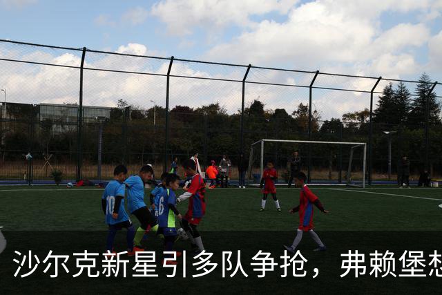 沙尔克新星引多队争抢，弗赖堡想挖人却撞上长约